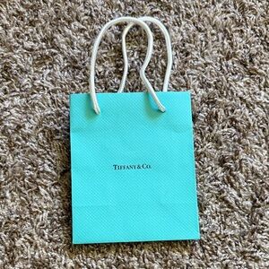 Tiffany & Co. Shopping Bag 💞